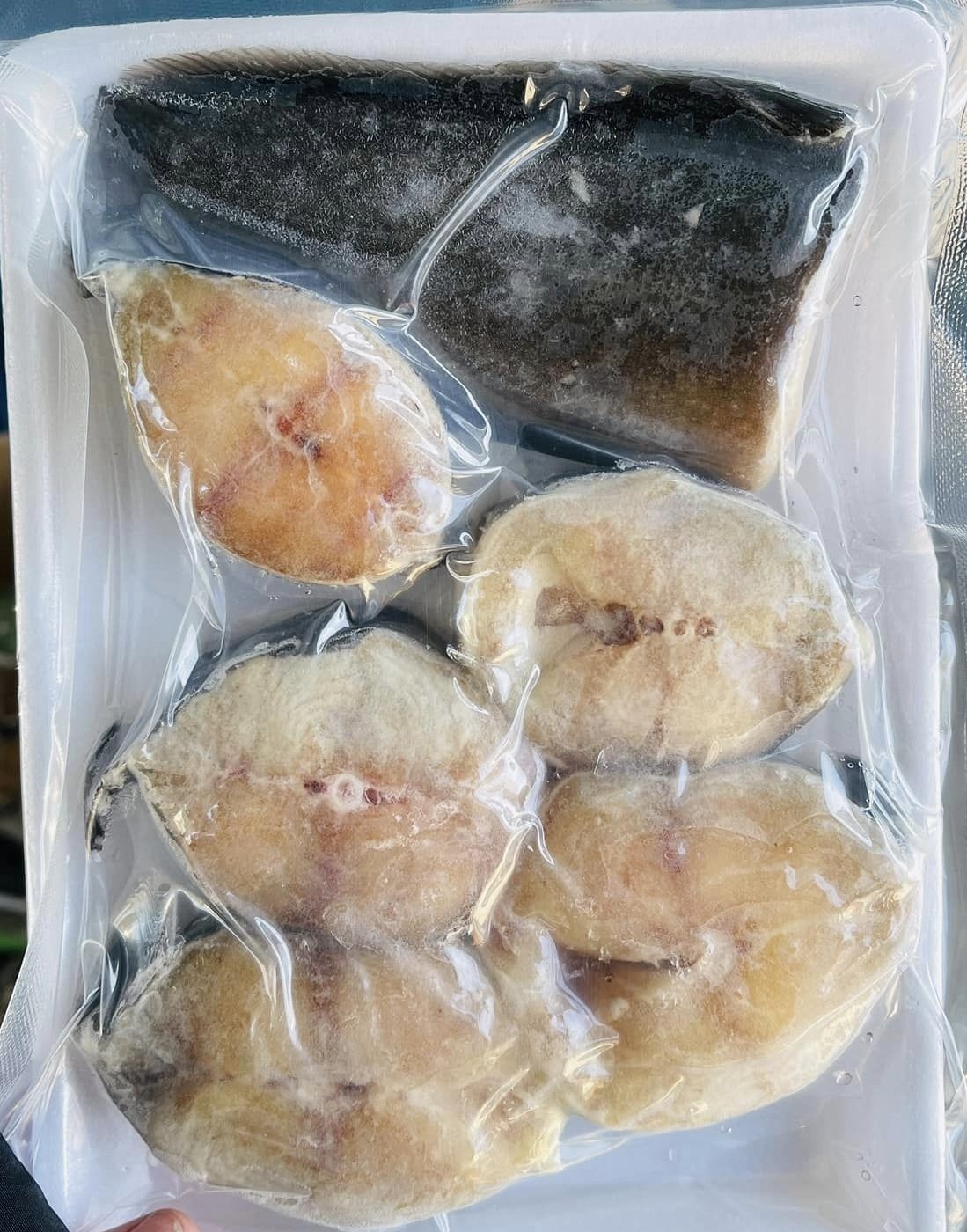 CÁ TRÊ SẠCH CẮT KHÚC -01 - Ảnh 4