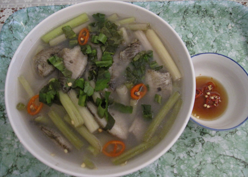 CÁ SẶC RẰN -01 - Ảnh 3