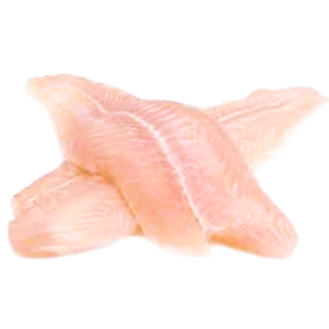 CÁ LÓC PHI LÊ -01