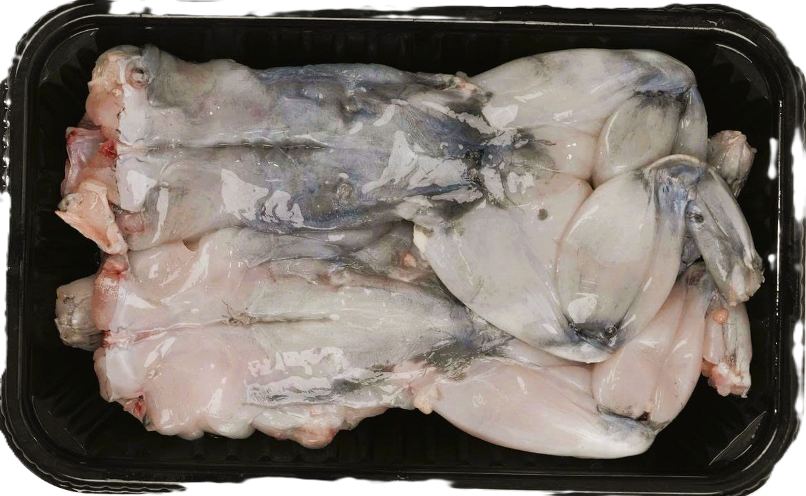 ẾCH SẠCH LỘT DA -01