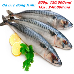 CÁ NỤC ĐÔNG LẠNH -01