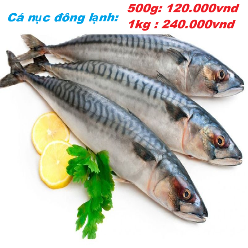 CÁ NỤC ĐÔNG LẠNH -01