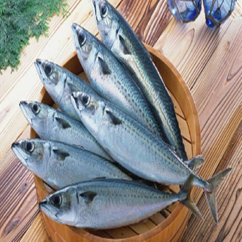 CÁ NỤC ĐÔNG LẠNH -01 - Ảnh 5