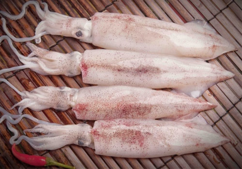 HẢI SẢN - MỰC ỐNG -01 - Ảnh 6