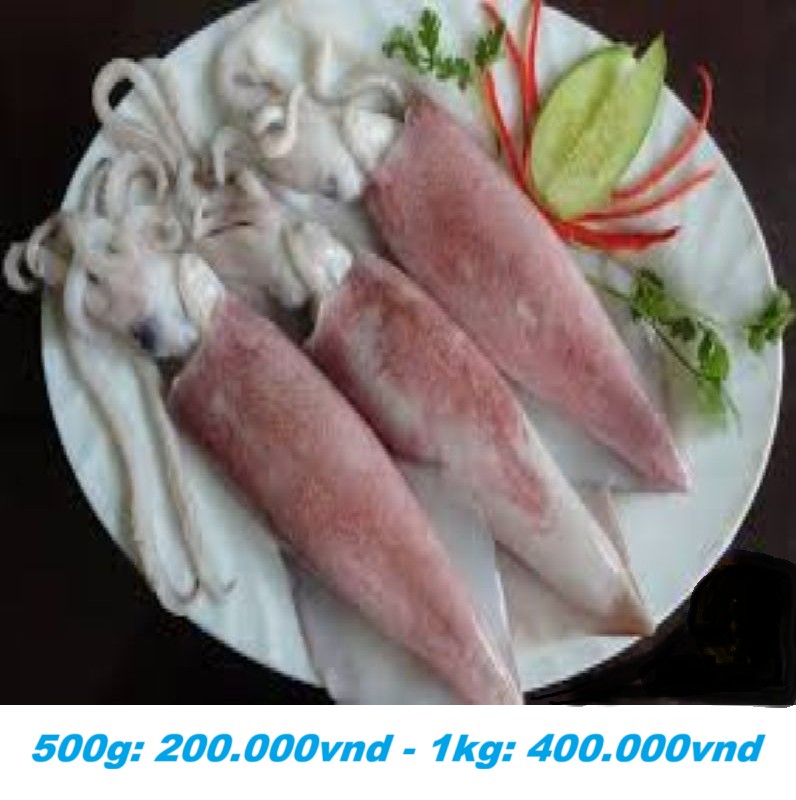 HẢI SẢN - MỰC ỐNG -01 - Ảnh 4